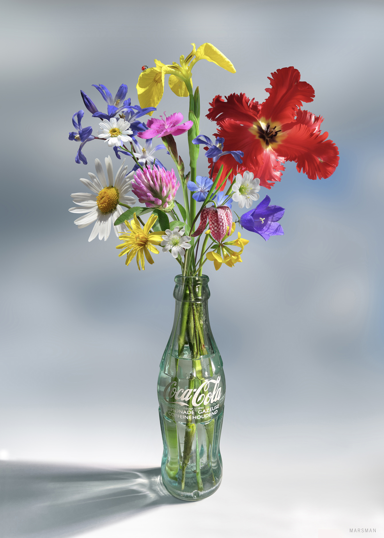 <b>COCA COLA VERSUS FLOWERS</b> - image 50 x 70 cm / frame 70 x 90 cm - Giclée - limited edition (100) - € 450,-  <a style="color: red; text-decoration: none" href="mailto:jpgpmarsman@onsbrabantnet.nl">BESTEL</a>