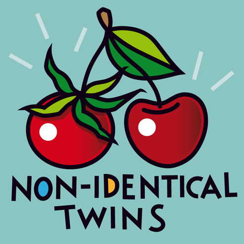 <b>NON-IDENTICAL TWINS</b> - Image 25 x 25 cm, paper 31 x 31 cm  - ARTPrint on paper, limited edition (25) - € 99,-  <a style="color: red; text-decoration: none" href="mailto:jpgpmarsman@onsbrabantnet.nl">BESTEL</a>